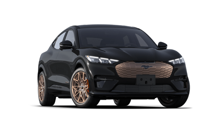 Mustang Mach-E® vehicle